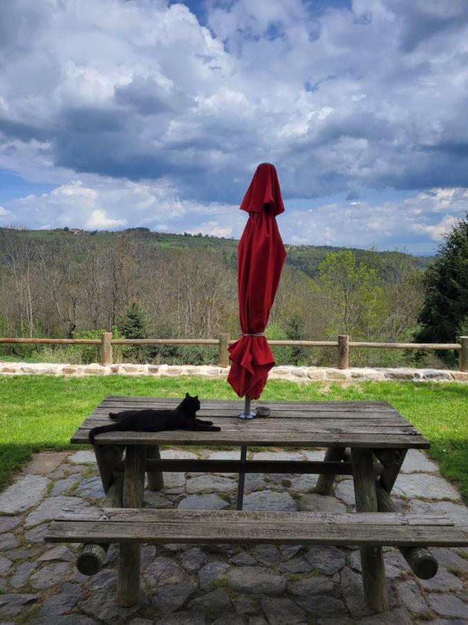 Se Reconnecter A La Nature Au Gite 3 Etoiles De Montager A Saint Andre De Chalencon Bagian luar foto