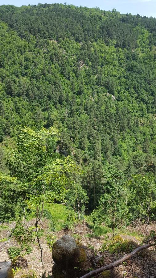 Se Reconnecter A La Nature Au Gite 3 Etoiles De Montager A Saint Andre De Chalencon Bagian luar foto