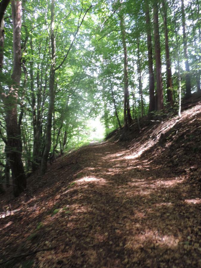 Se Reconnecter A La Nature Au Gite 3 Etoiles De Montager A Saint Andre De Chalencon Bagian luar foto