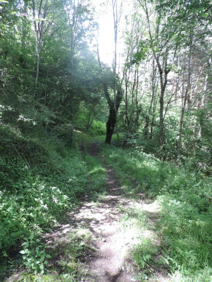 Se Reconnecter A La Nature Au Gite 3 Etoiles De Montager A Saint Andre De Chalencon Bagian luar foto