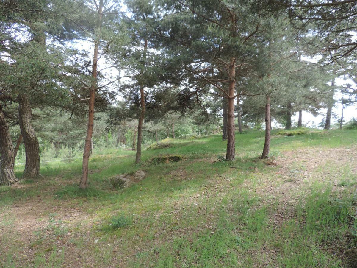 Se Reconnecter A La Nature Au Gite 3 Etoiles De Montager A Saint Andre De Chalencon Bagian luar foto