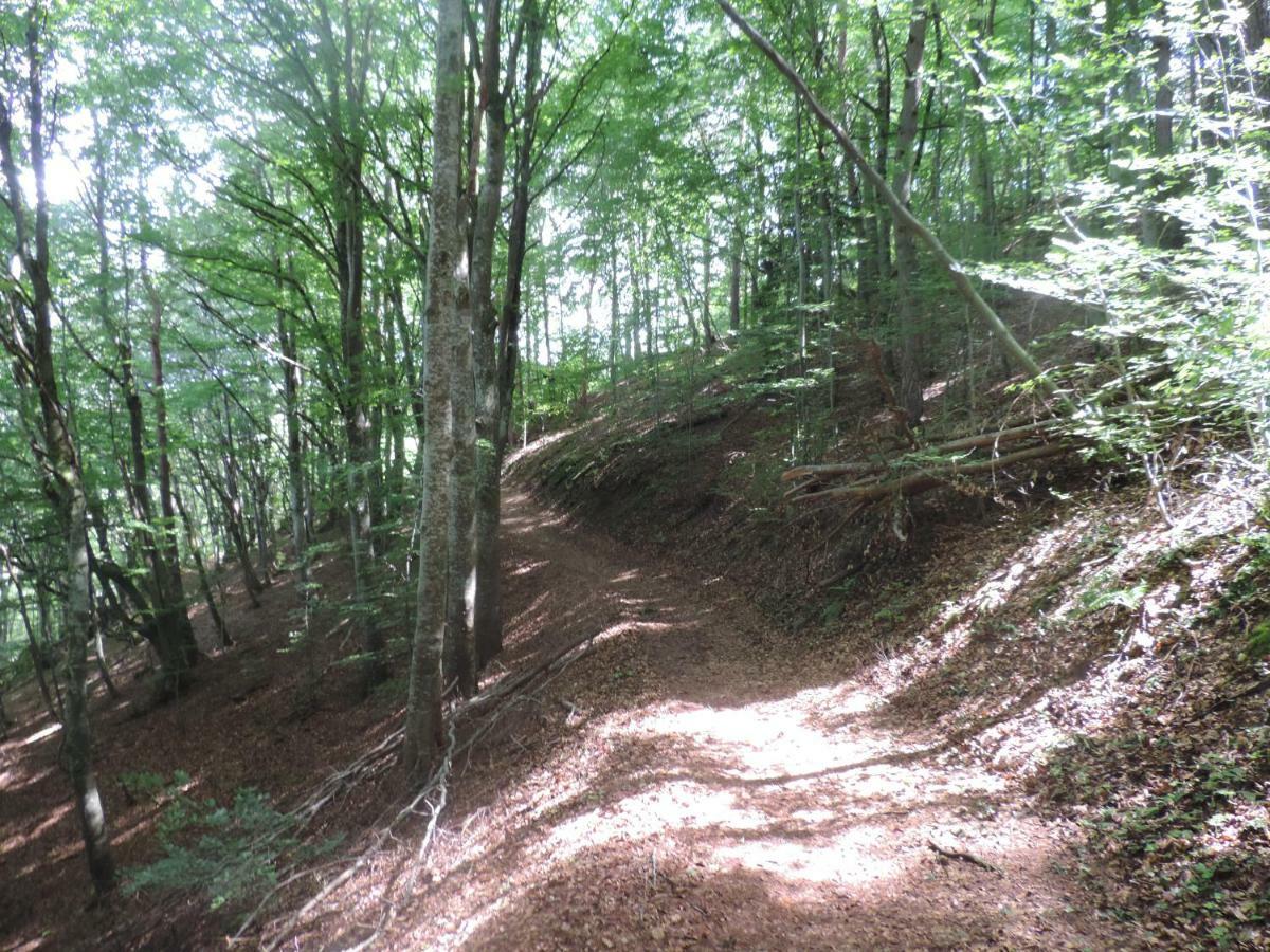 Se Reconnecter A La Nature Au Gite 3 Etoiles De Montager A Saint Andre De Chalencon Bagian luar foto