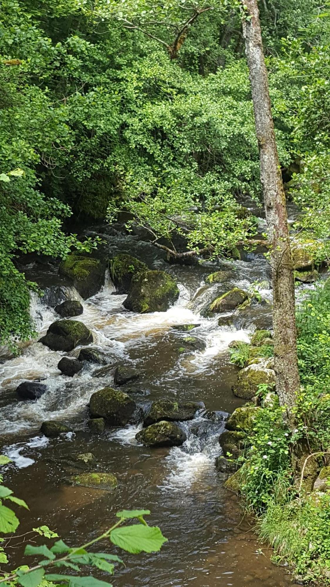 Se Reconnecter A La Nature Au Gite 3 Etoiles De Montager A Saint Andre De Chalencon Bagian luar foto